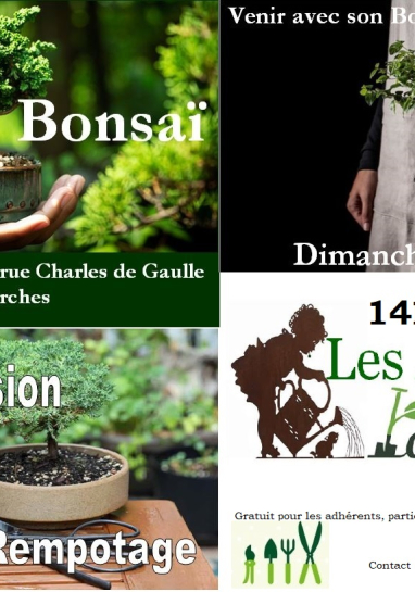 Affiche atelier taille des rosiers 2025