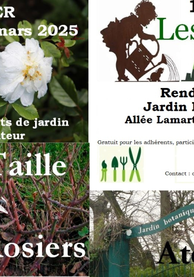 Affiche Atelier bonsaï 2025