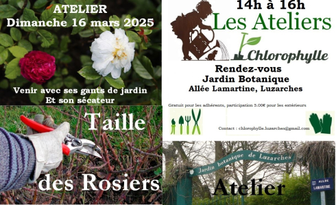 Affiche Atelier bonsaï 2025