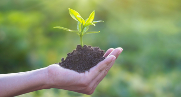 Visuel environnement